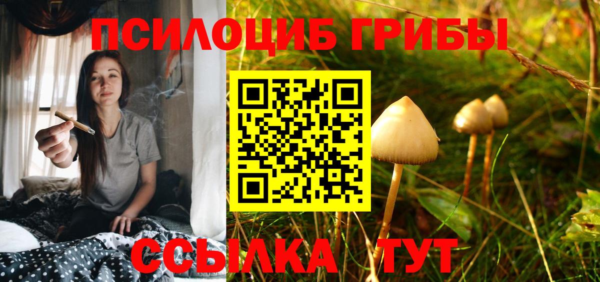 Галлюциногенные грибы мухоморы Острогожск
